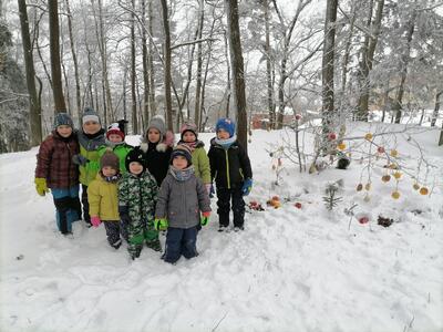 Krmení zvířátek